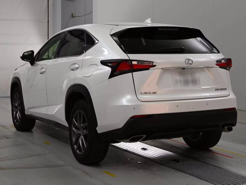 LEXUS NX300