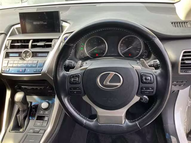 LEXUS NX300H