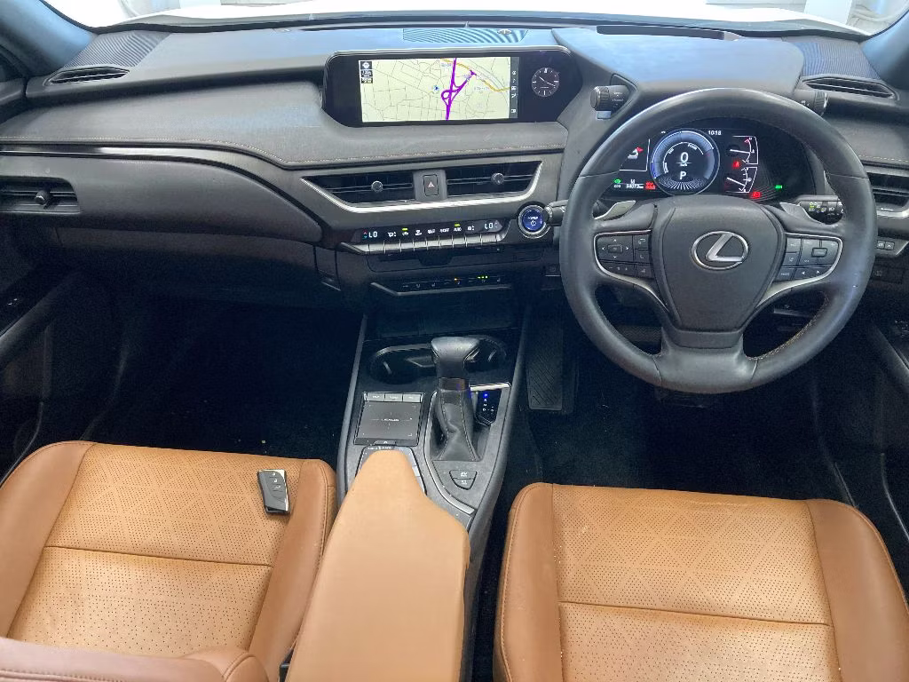 LEXUS UX250H