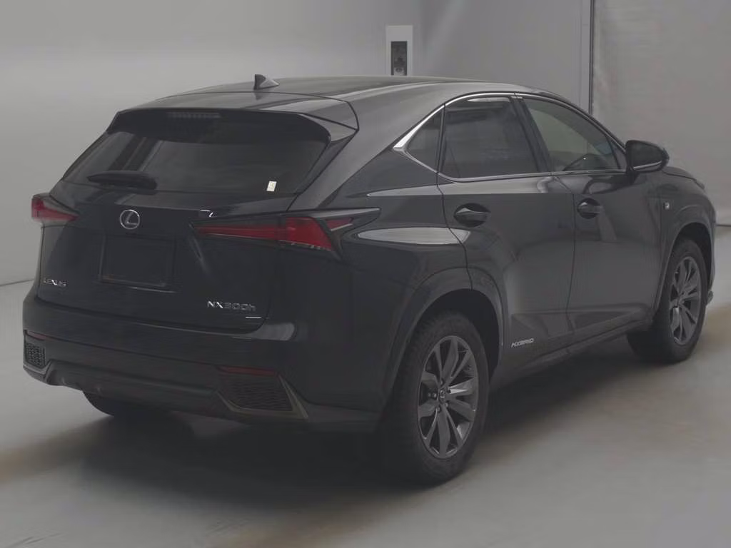 LEXUS NX300