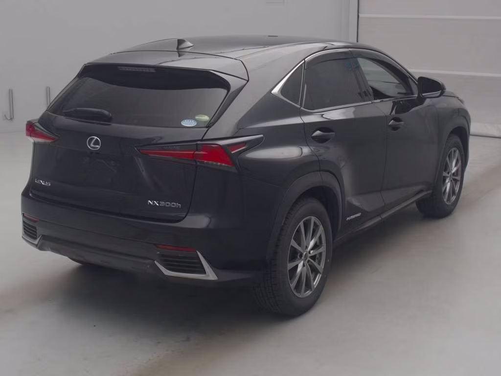 LEXUS NX300