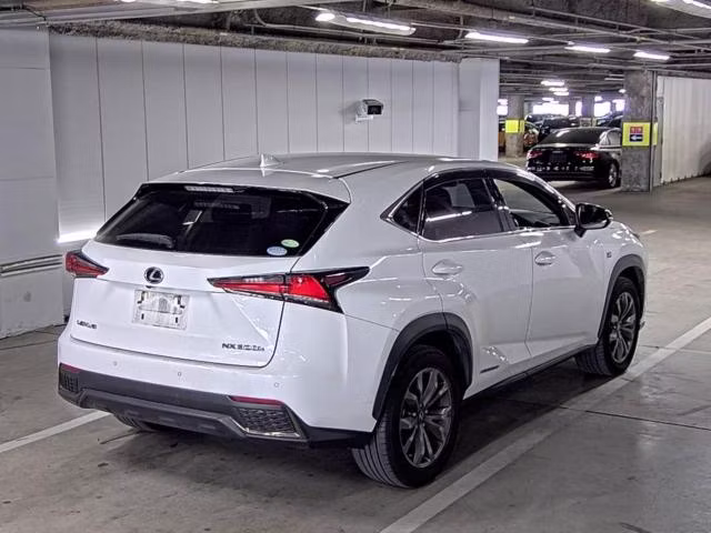 LEXUS NX300