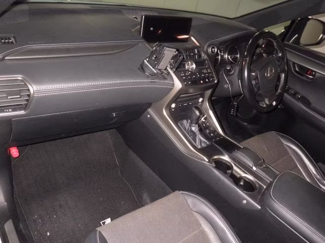 LEXUS NX300