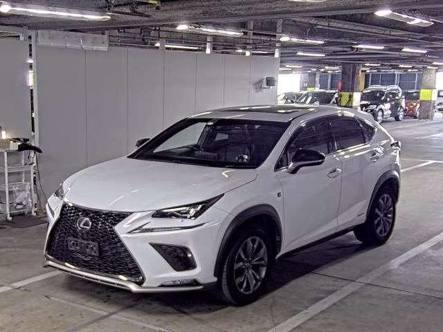 LEXUS NX300