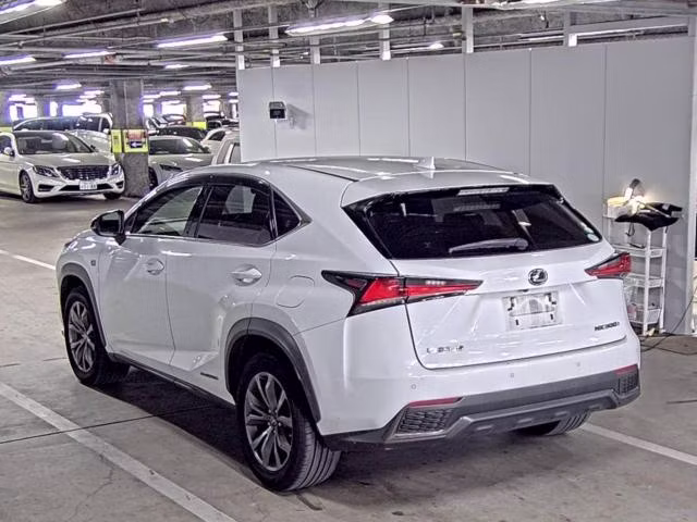 LEXUS NX300