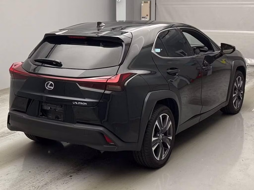 LEXUS UX250H