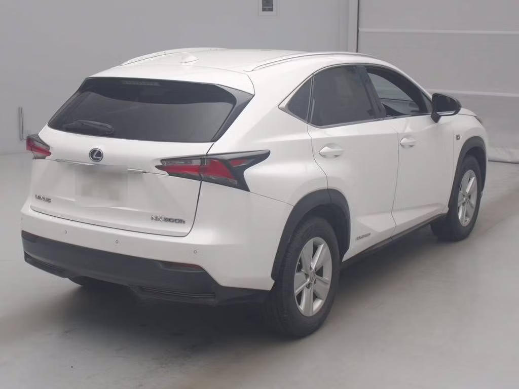 LEXUS NX300