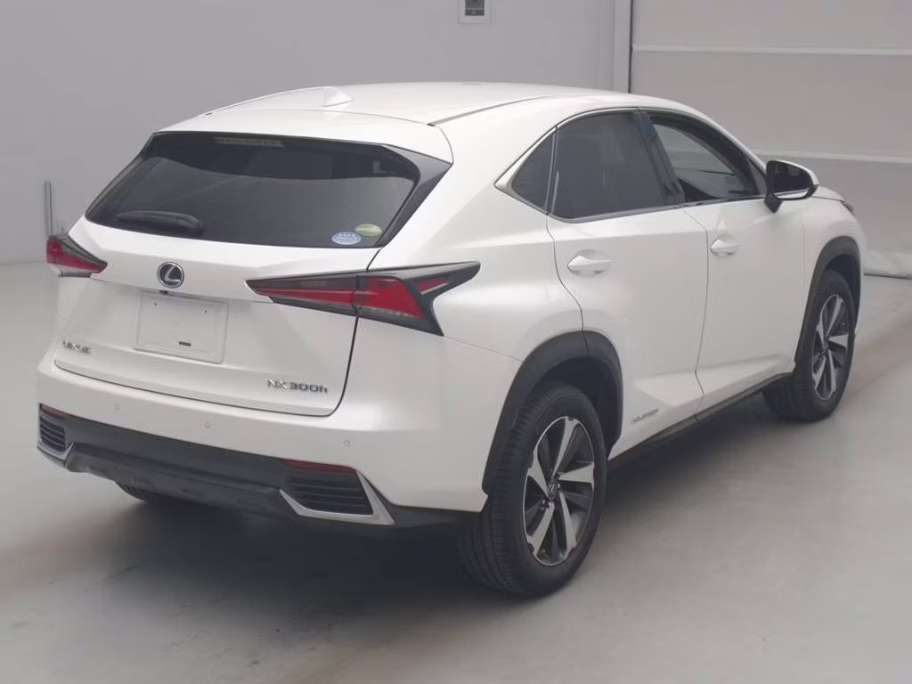 LEXUS NX300