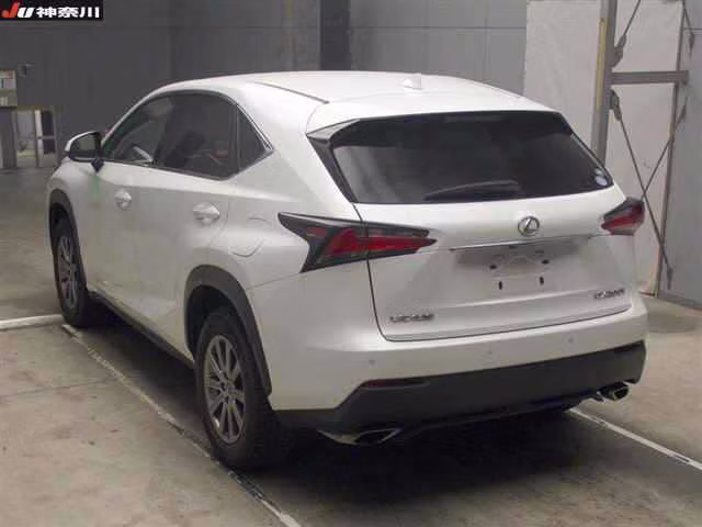 LEXUS NX300