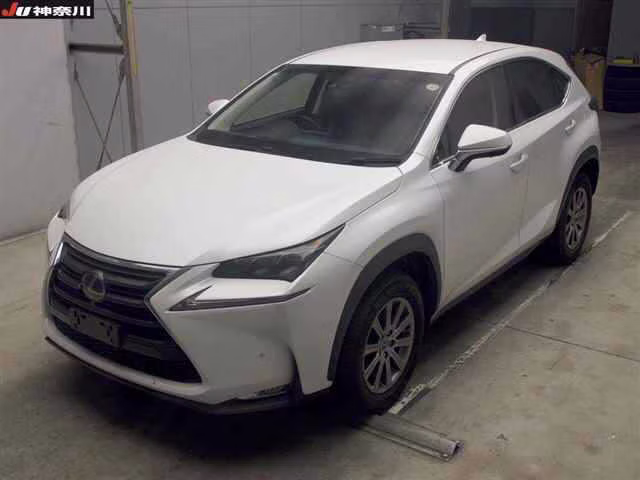 LEXUS NX300