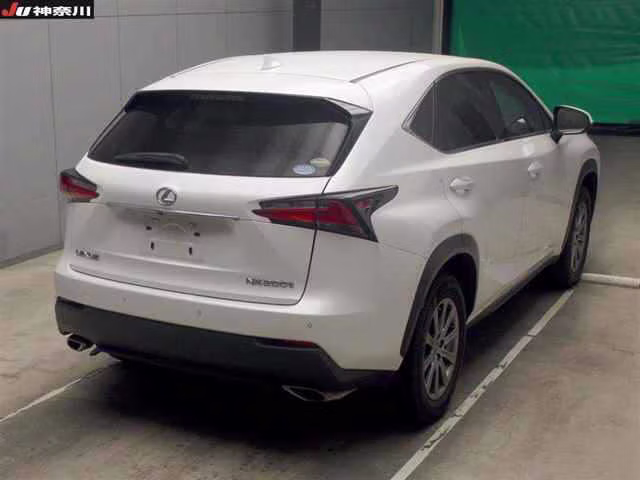 LEXUS NX300