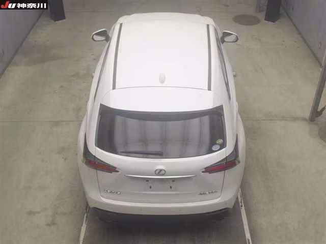 LEXUS NX300