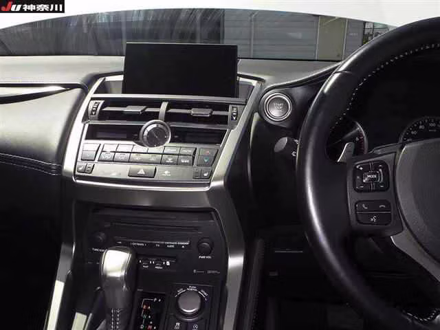 LEXUS NX300