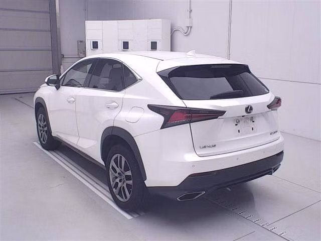 LEXUS NX300