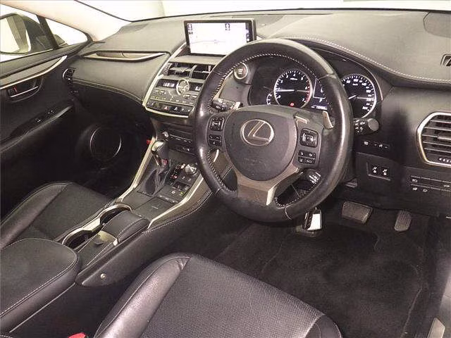 LEXUS NX300