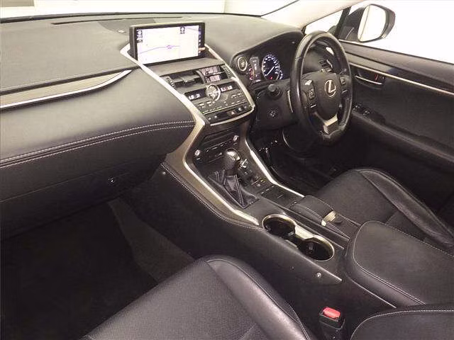 LEXUS NX300