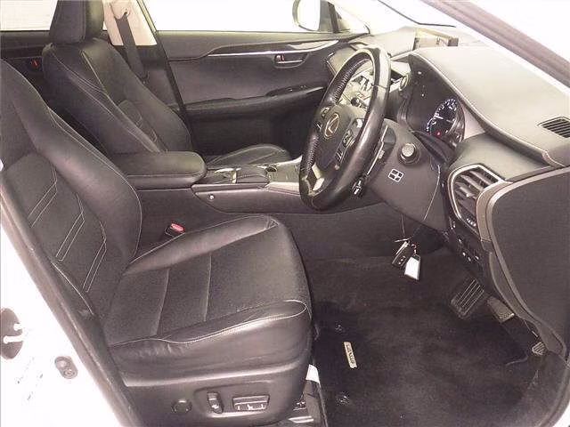 LEXUS NX300
