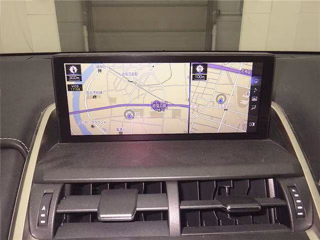 LEXUS NX300