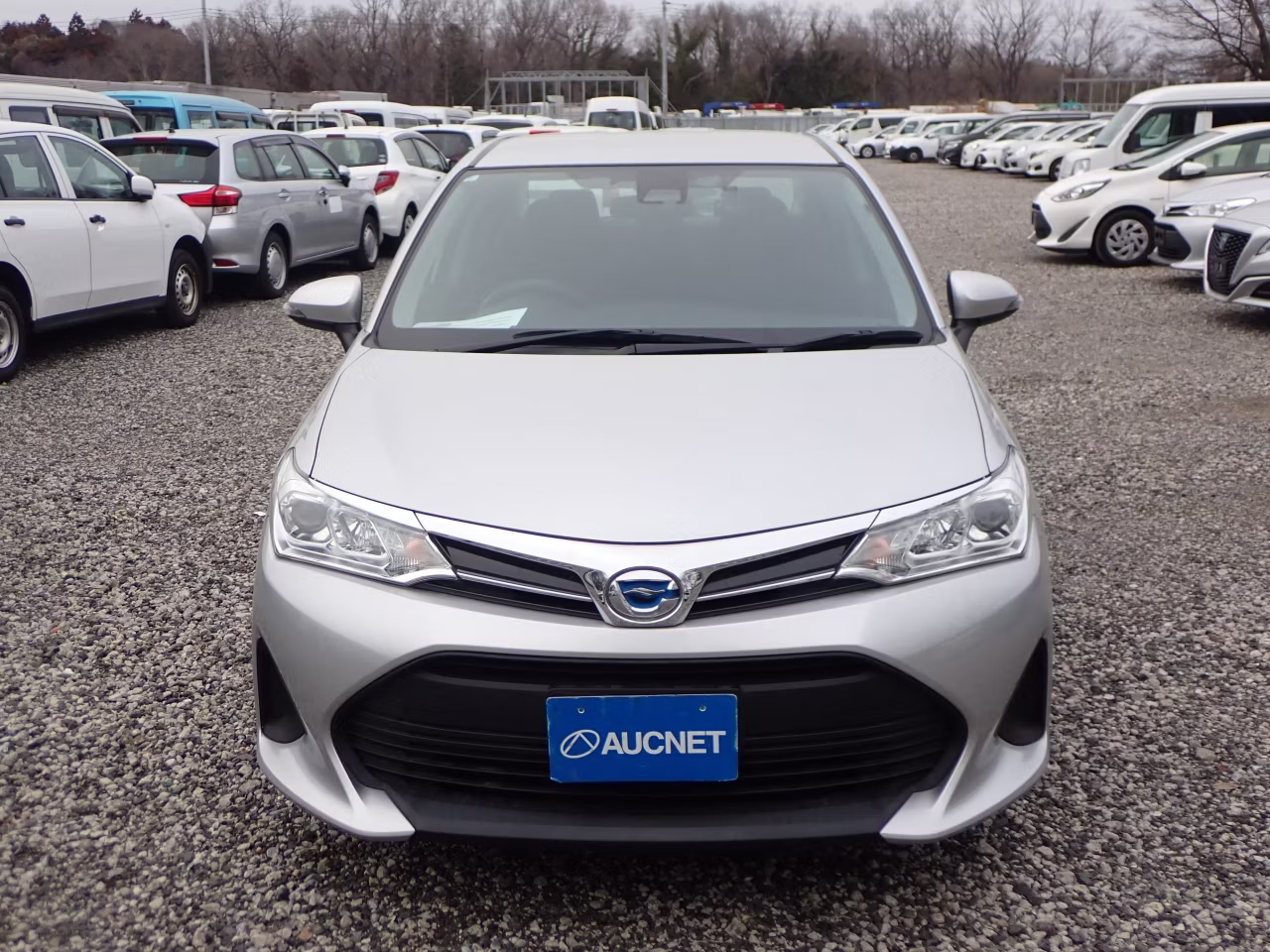 TOYOTA COROLLA AXIO
