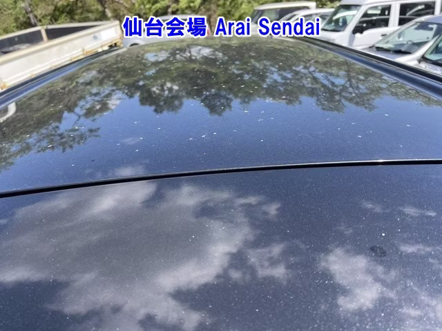 SUBARU CHIFFON