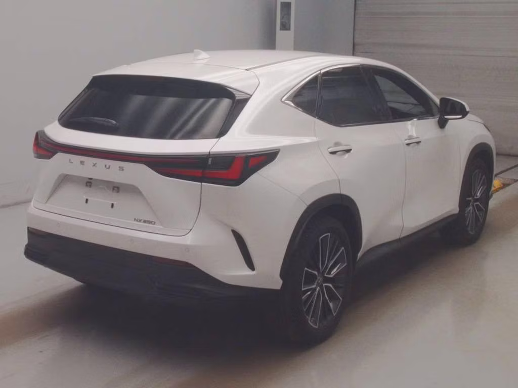 LEXUS NX250