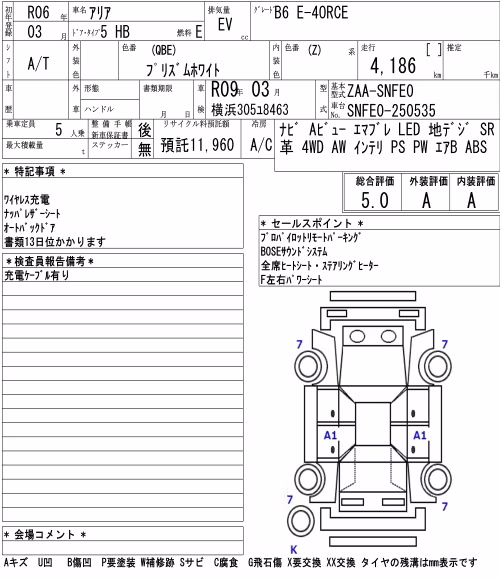 NISSAN ARIYA