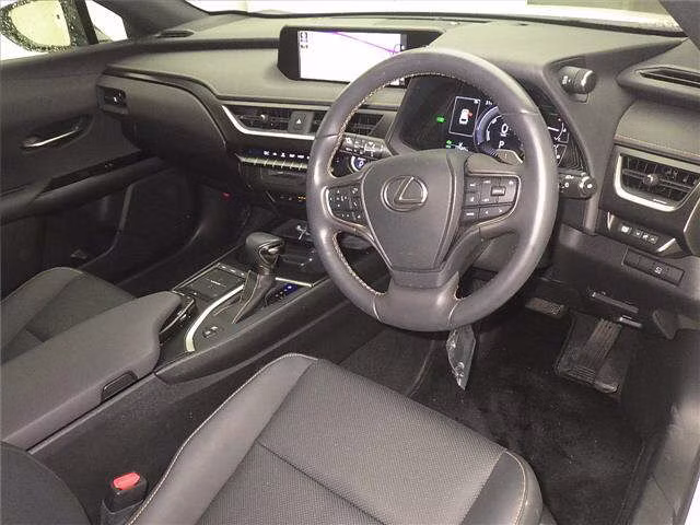 LEXUS UX250H