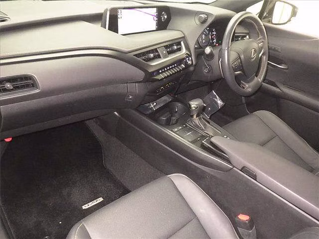 LEXUS UX250H