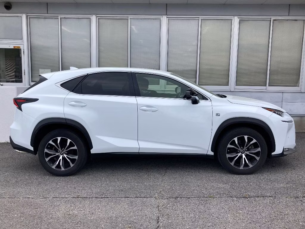LEXUS NX300