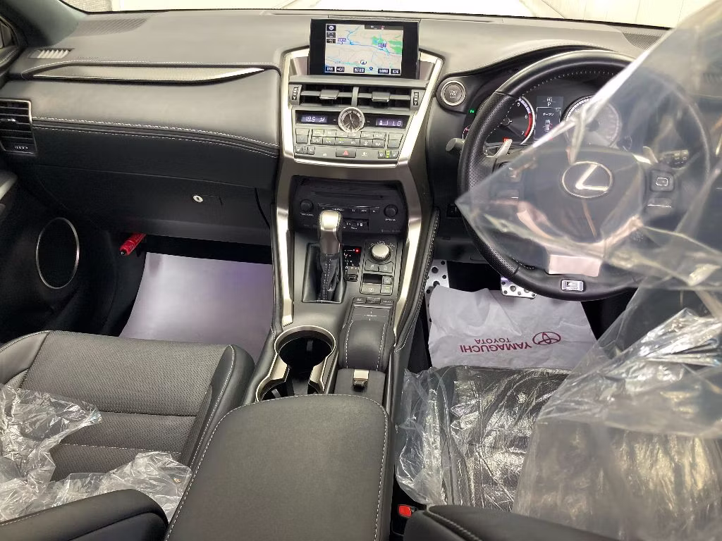 LEXUS NX300