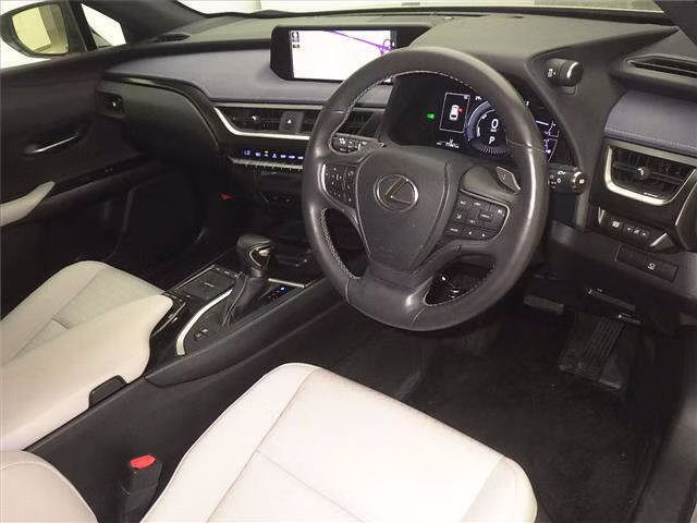 LEXUS UX250H