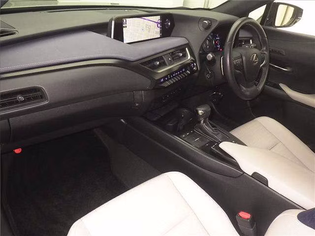 LEXUS UX250H