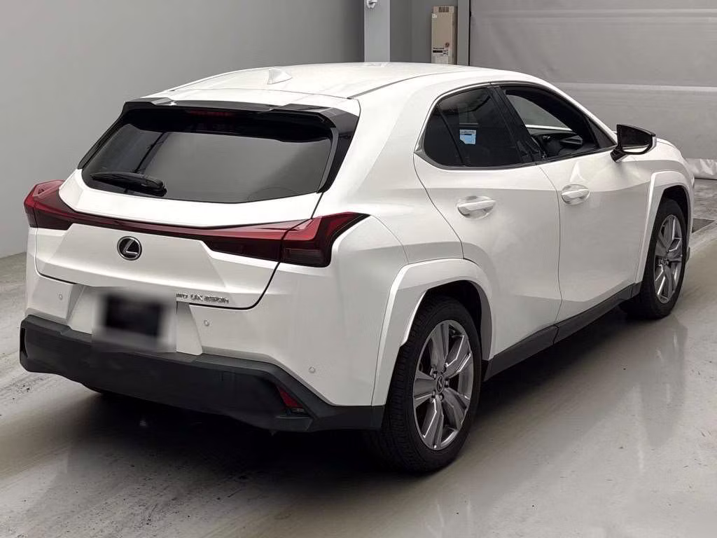 LEXUS UX250H