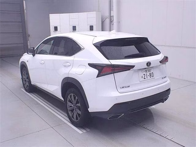 LEXUS NX300