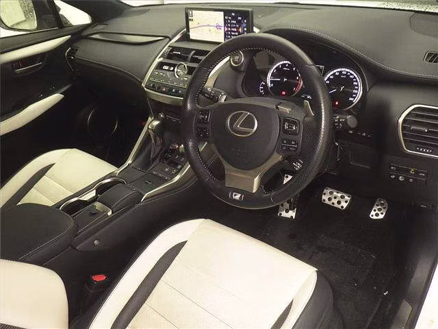 LEXUS NX300