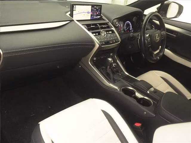 LEXUS NX300