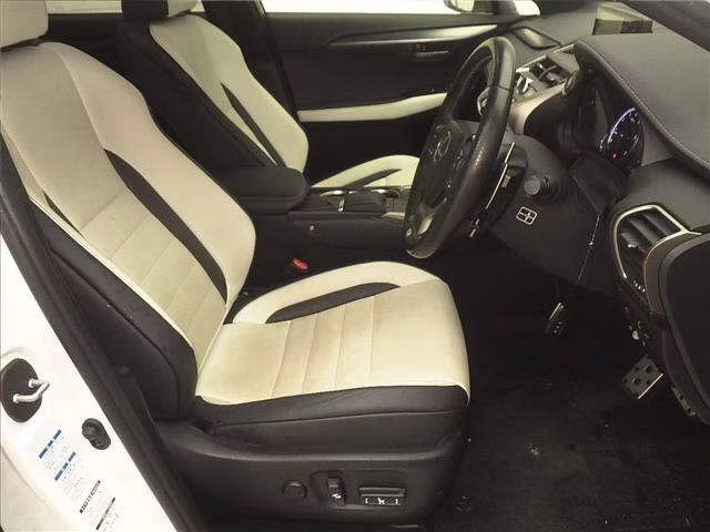 LEXUS NX300
