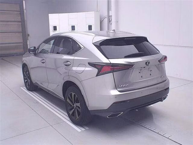 LEXUS NX300