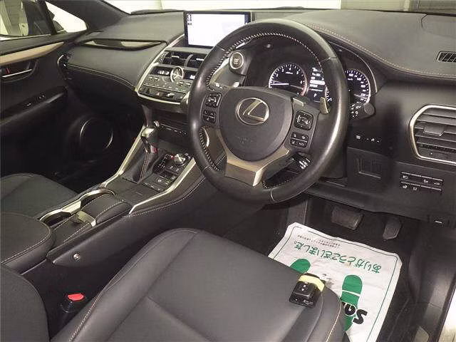 LEXUS NX300