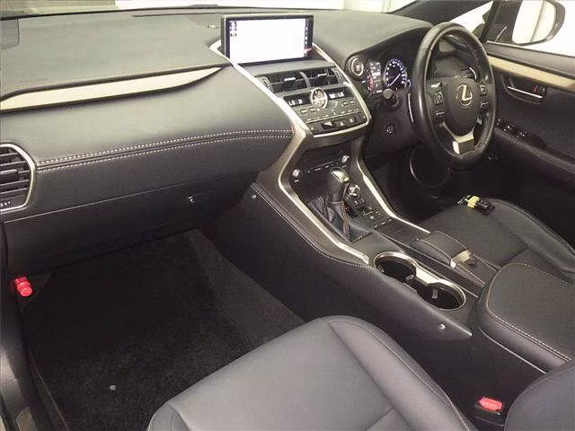 LEXUS NX300