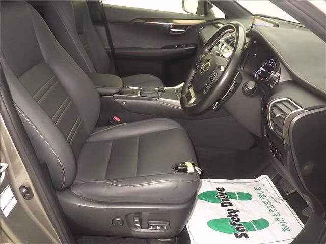 LEXUS NX300