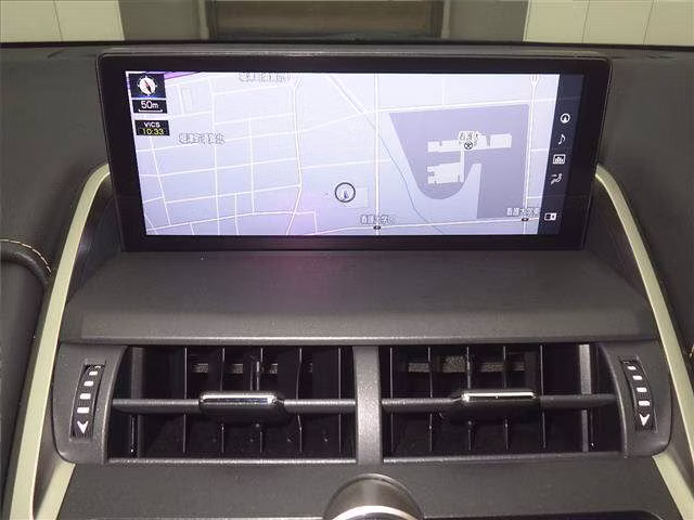LEXUS NX300