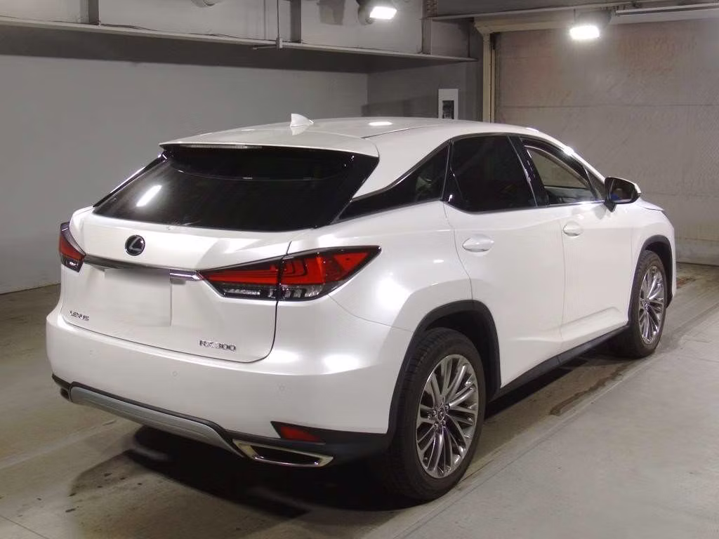 LEXUS RX300