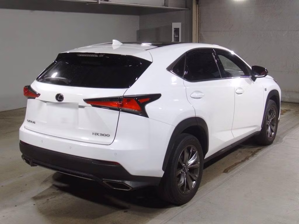 LEXUS NX300
