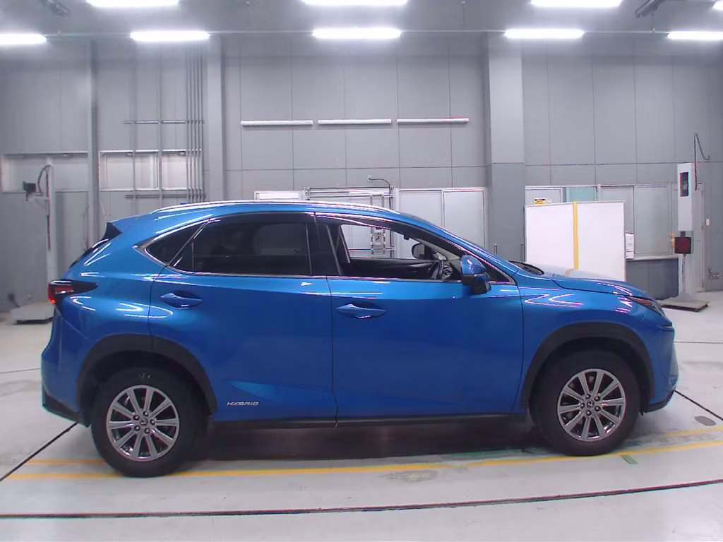 LEXUS NX300