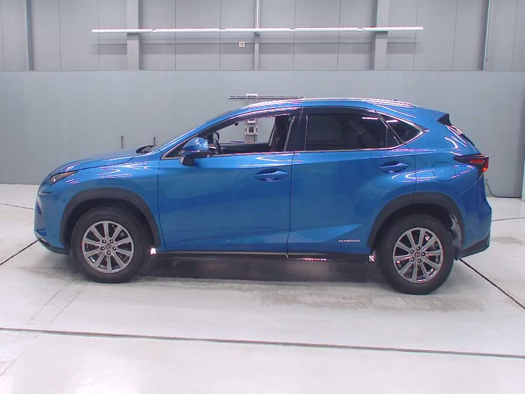 LEXUS NX300