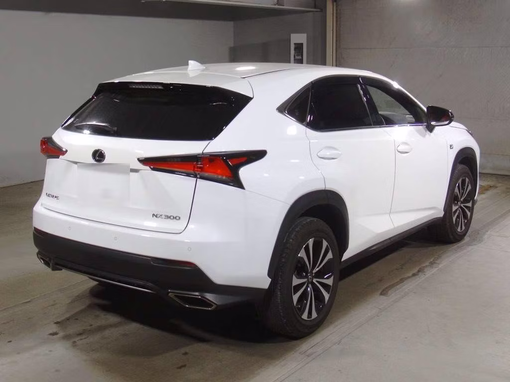 LEXUS NX300