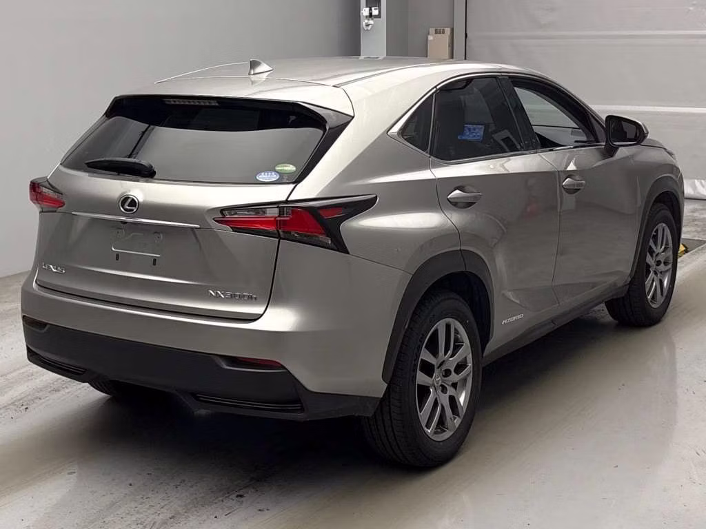 LEXUS NX300
