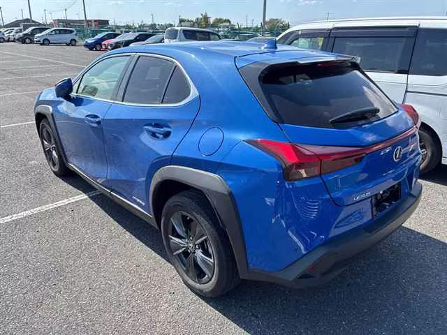 LEXUS UX250H