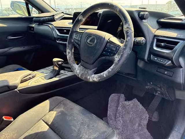LEXUS UX250H